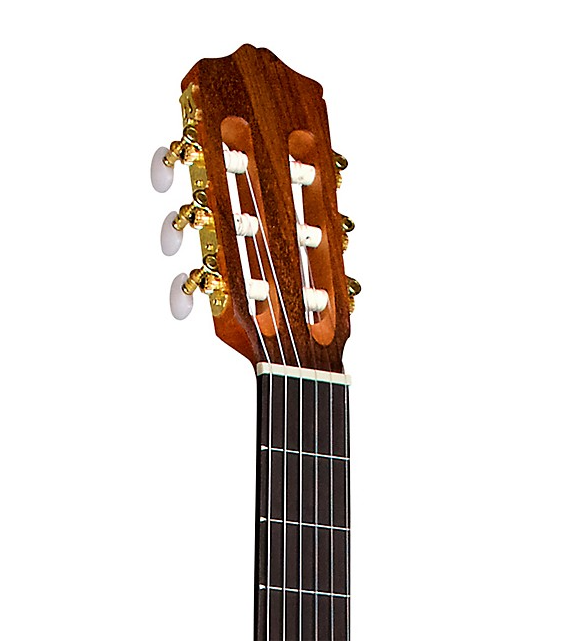 Cordoba C1M-CE Protege Cutaway Nylon-String A/E Classical Guitar