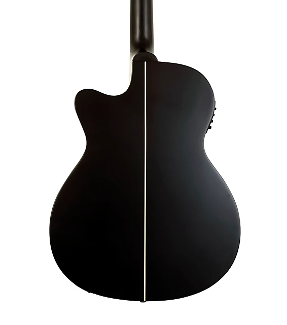 Washburn Deep Forest Grand Auditorium Cutaway A/E Guitar - Striped Ebony