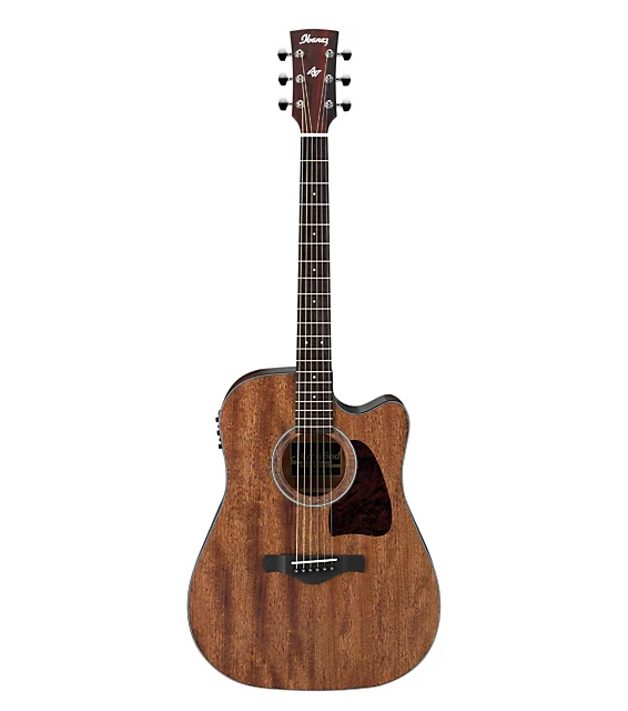 Ibanez AW54CEOPN Artwood Dreadnought A/E Guitar Open Pore Natural