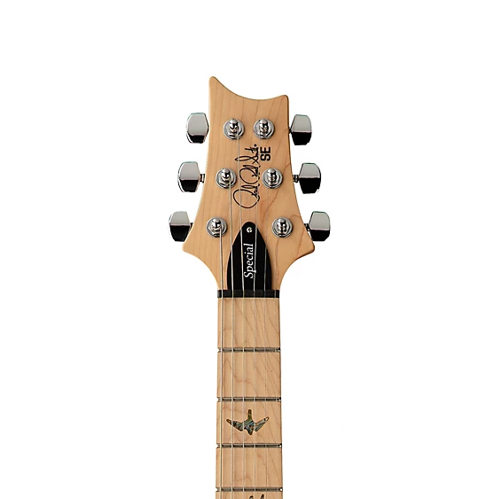 PRS SE Swamp Ash Special Iri Blue
