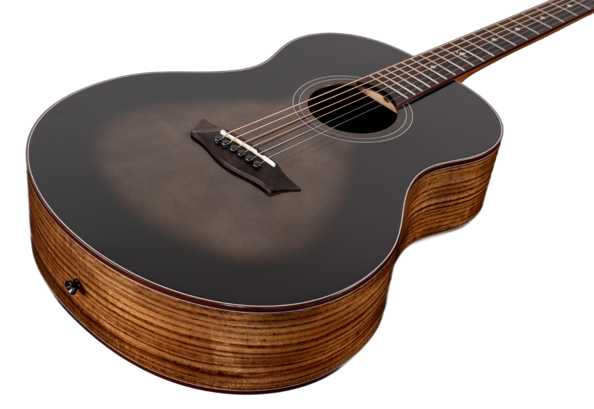 Washburn Bella Tono Novo S9