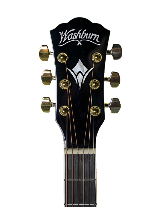 Washburn Festival EA55G A/E Guitar