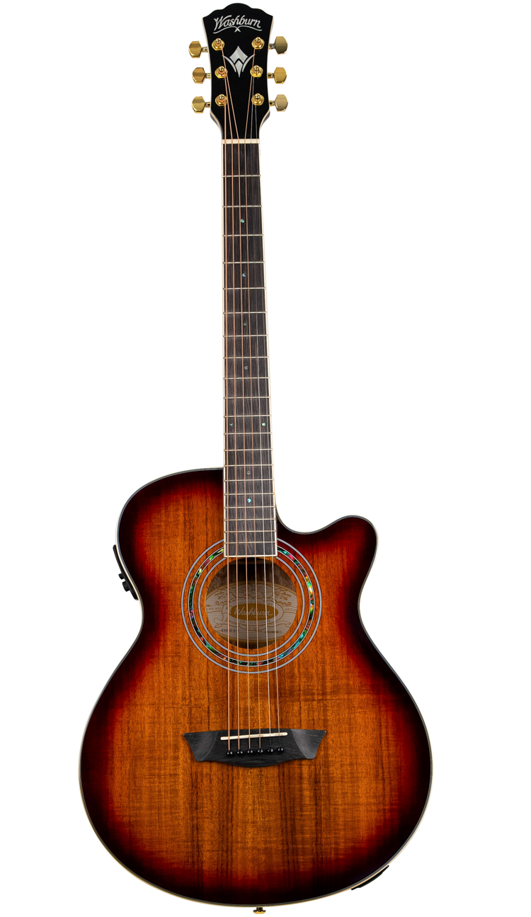 Washburn Festival EA55G A/E Guitar