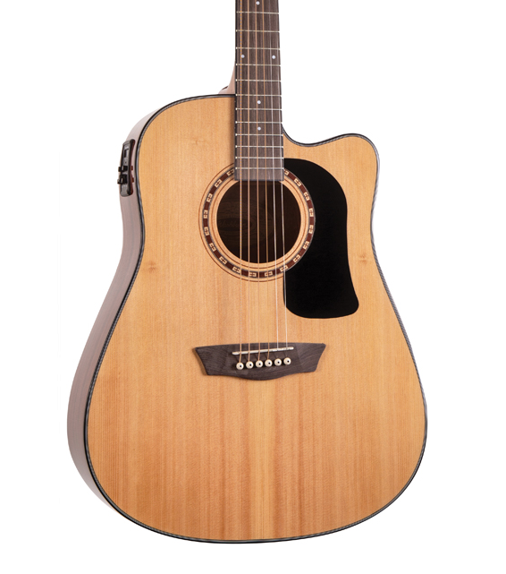 Washburn Apprentice D5CE-PACK A/E Guitar Pack