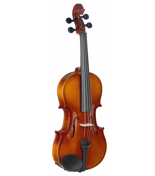 Stagg 3/4 Size Student Violin w/ Case and Bow