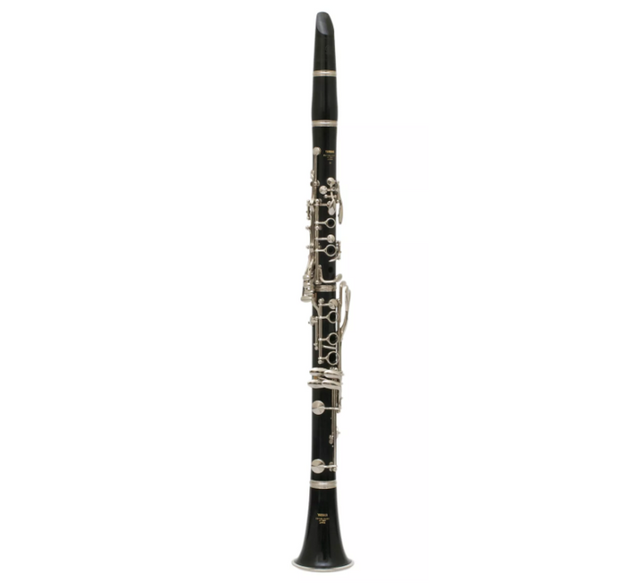 INSTRUMENT RENTALS Backstage Music Network