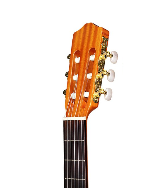 Cordoba Protege C1M Full-Size Nylon-String Classical Guitar