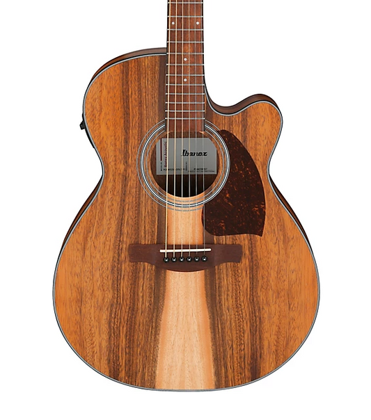 Ibanez PC50WSCE Grand Concert A/E Guitar Brown