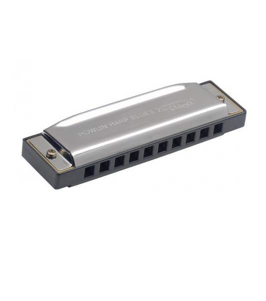 Stagg Blues harmonica Various Keys w/ Case