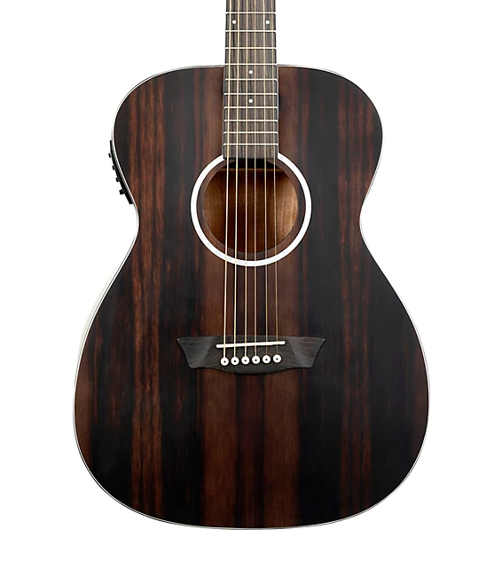 Washburn Deep Forest Ebony FE A/E Guitar