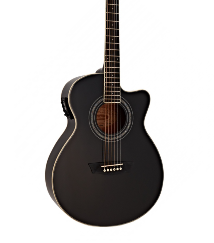 Washburn Festival EA12 A/E Mini Jumbo Guitar