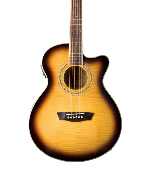 Washburn EA15 A/E Guitar